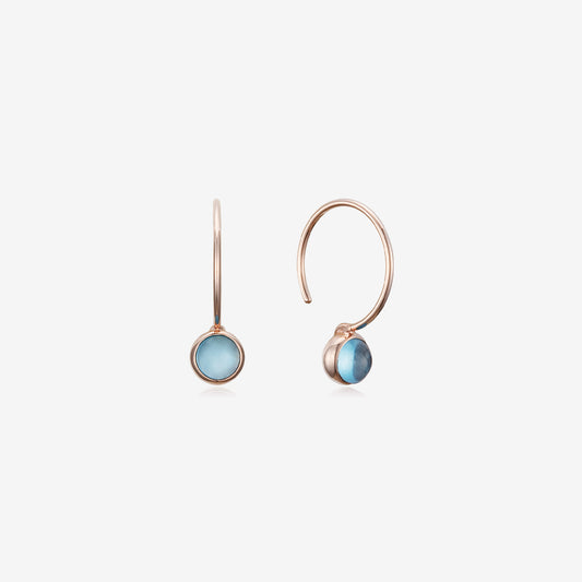 [November Birthstone] Debon D.D Gold Earring JDRERYS46AL